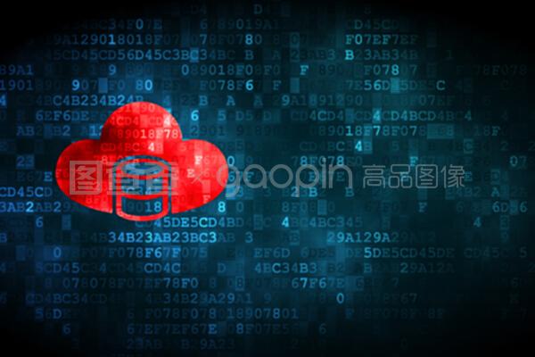 數字時代的數據基石 數據庫、網絡信息安全與軟件開發